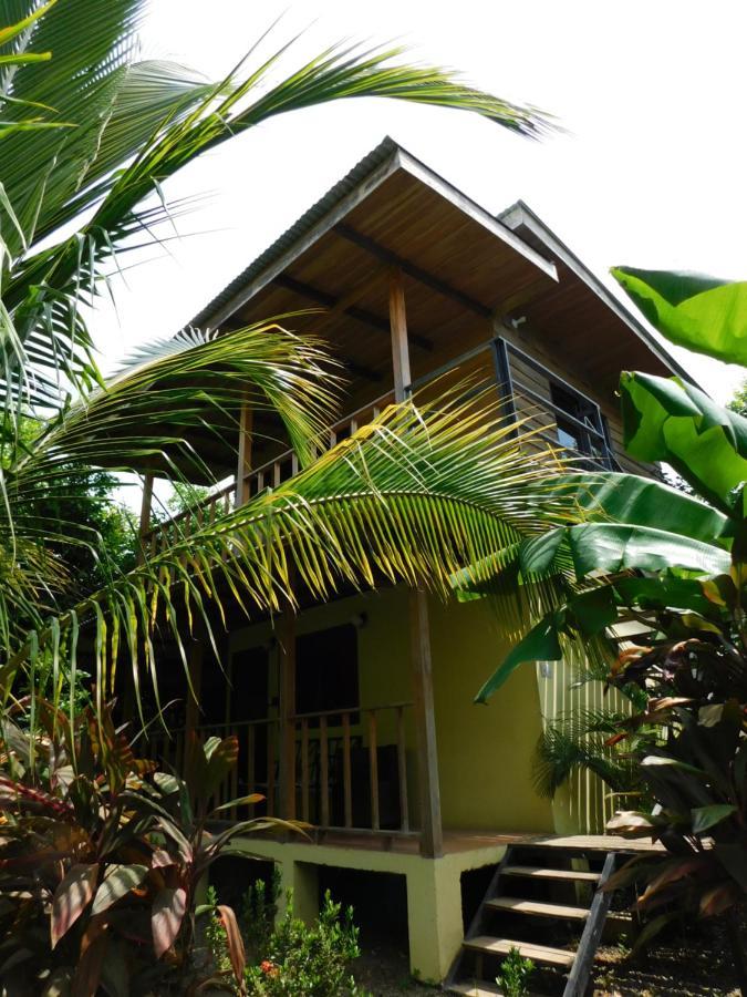 Chill-Inn Nosara Luaran gambar