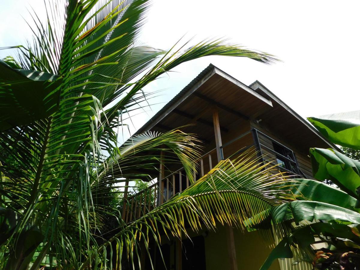 Chill-Inn Nosara Luaran gambar